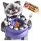 KADTC Cat Puzzle Feeder Toy, Interactive Slow Feed IQ Game for Cats 8.27" x 8.27" x 4.76"